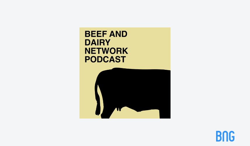 beef and dairy